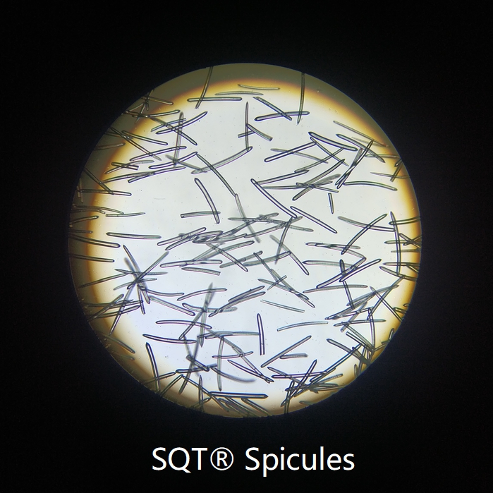 SQT 98_ _180um  spongilla spicules sponge needle silica